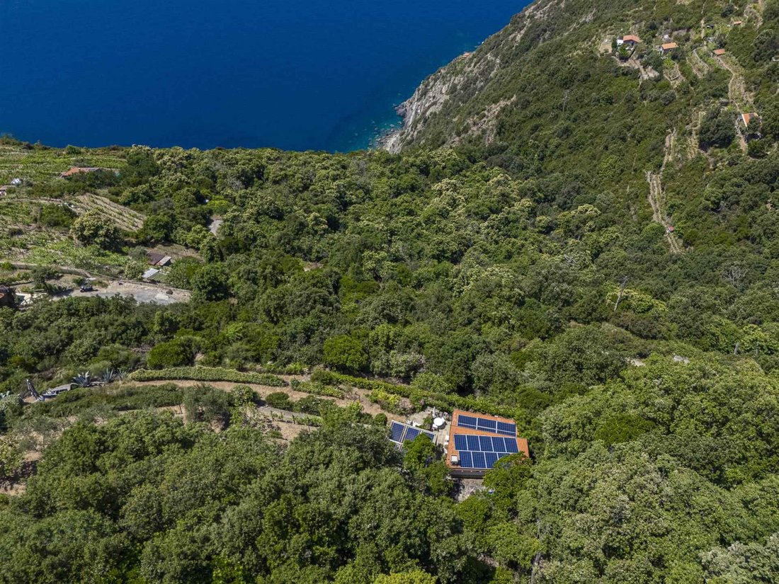 Altro a Biassa - Costa di Tramonti, La Spezia, Liguria 5 - 16722428