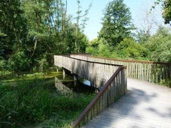 Land in Quinto di Treviso, Veneto, Italy 4 - 16555660