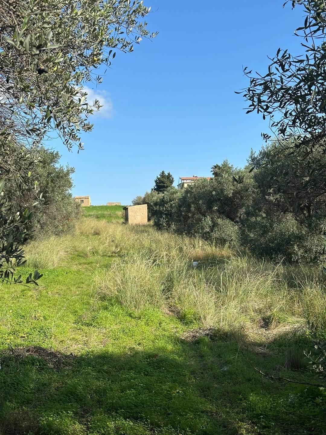 Land in San Leone - Villaggio Mosé - Zingarello, Favara, Sicily 2 - 16723506