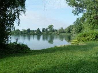 Land in Quinto di Treviso, Veneto, Italy 5 - 16555660