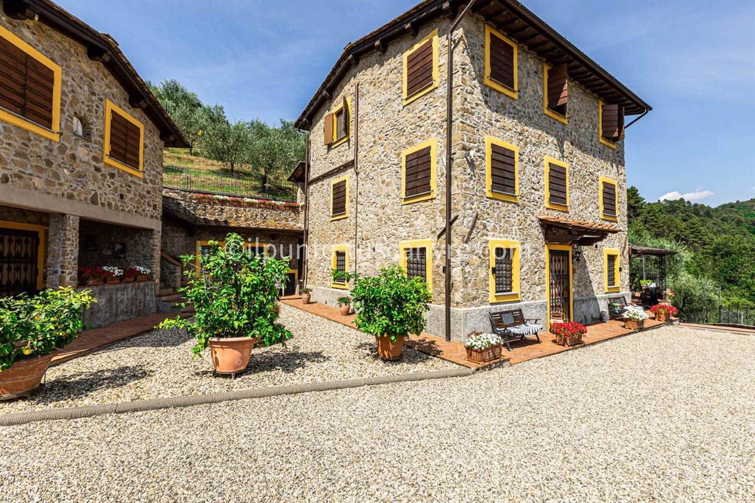 San Martino in Freddana, Tuscany, Italy 4 - 16723228