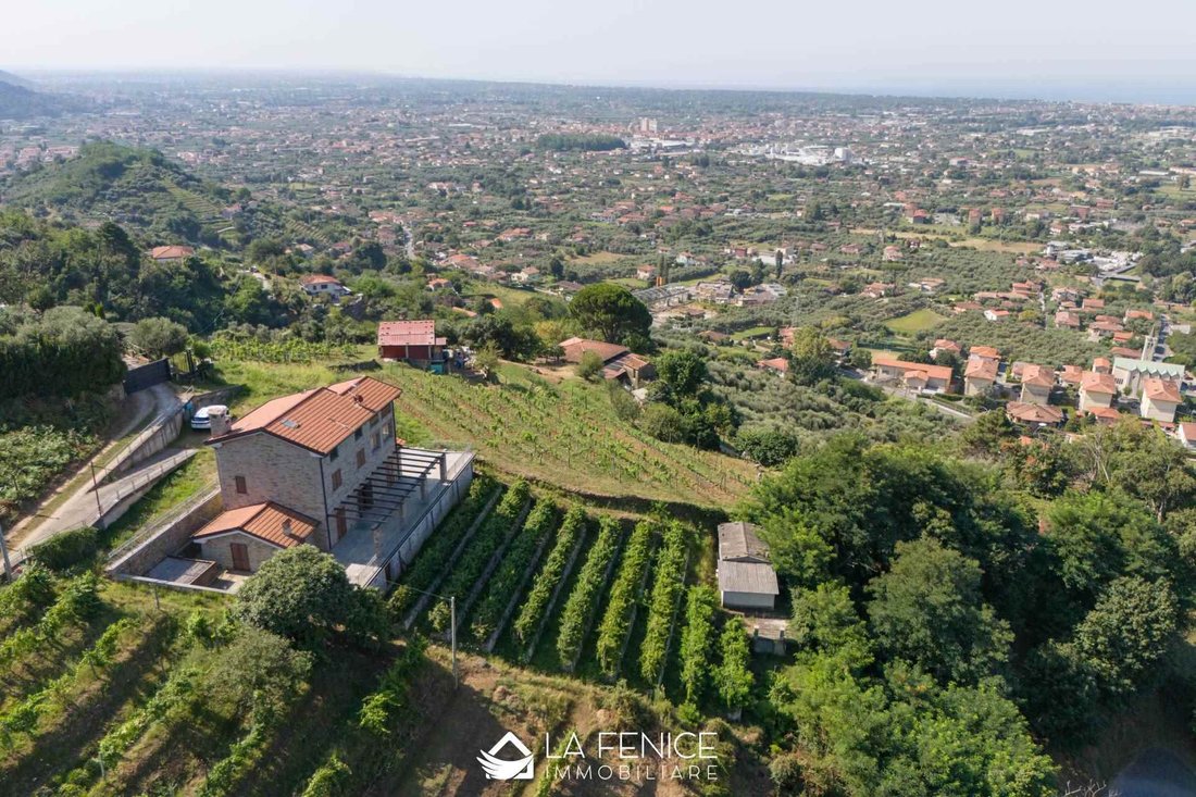 Apartment in Pietrasanta, Tuscany, Italy 4 - 16723866