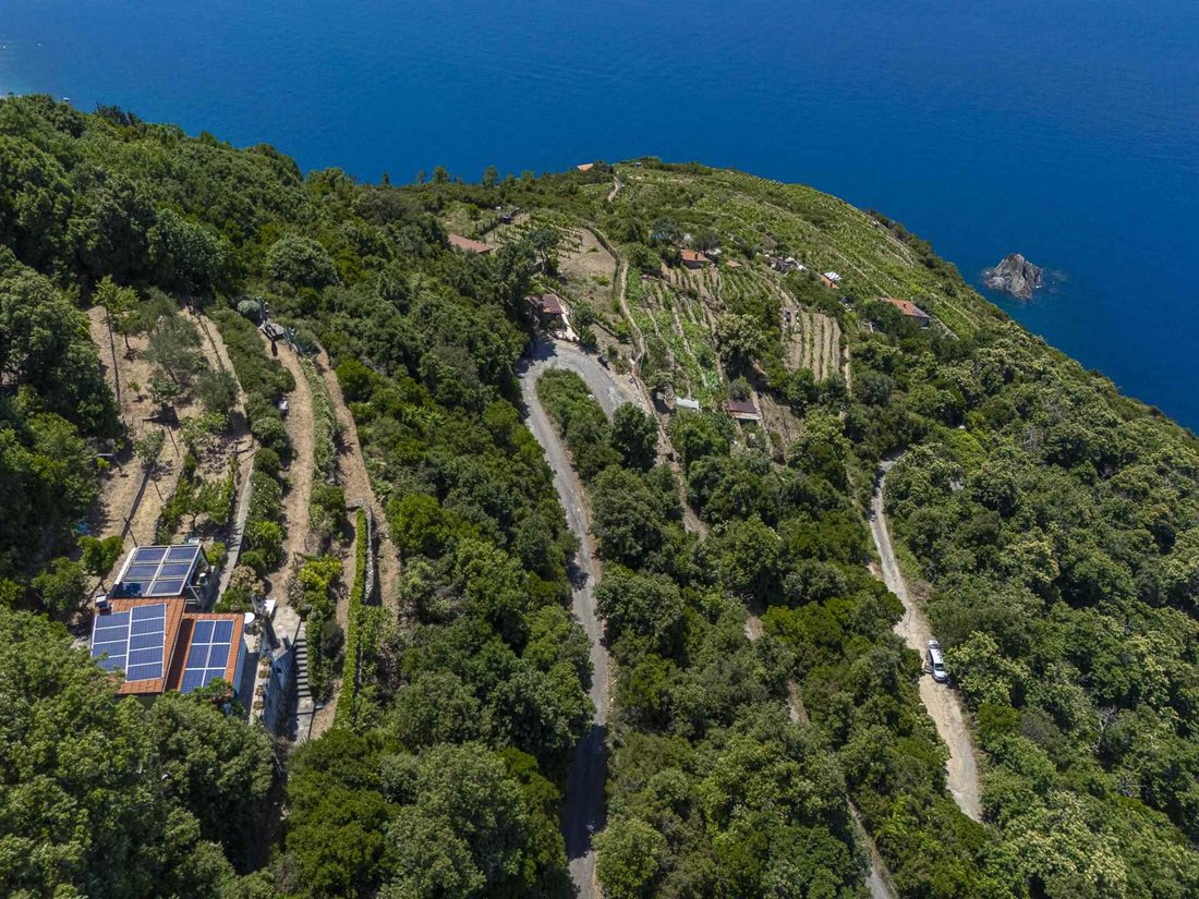 Altro a Biassa - Costa di Tramonti, La Spezia, Liguria 4 - 16722428