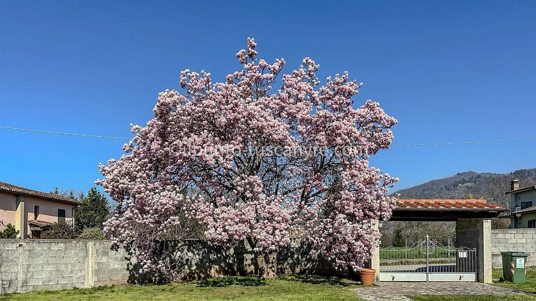 Andere in Barga, Toskana, Italien 5 - 16723038