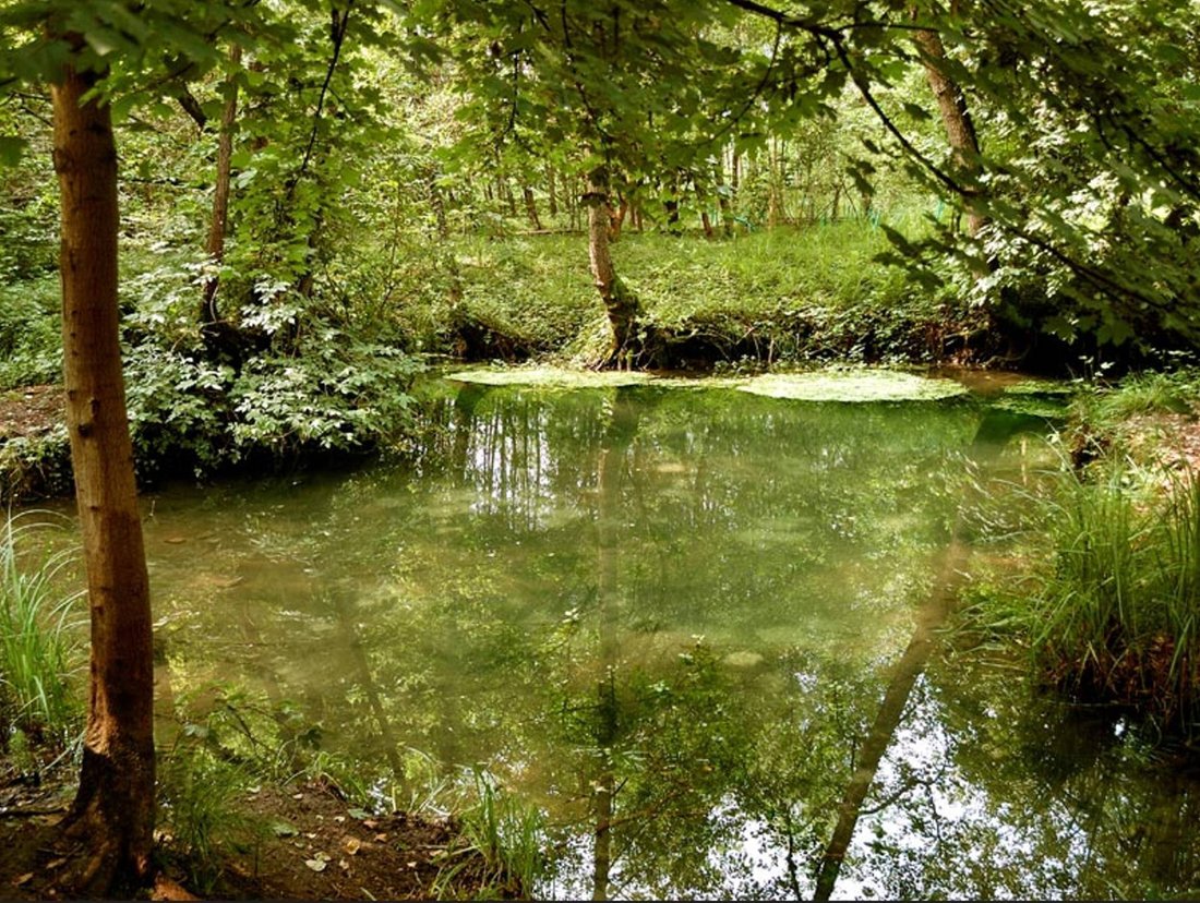 Land in Quinto di Treviso, Veneto, Italy 2 - 16555660