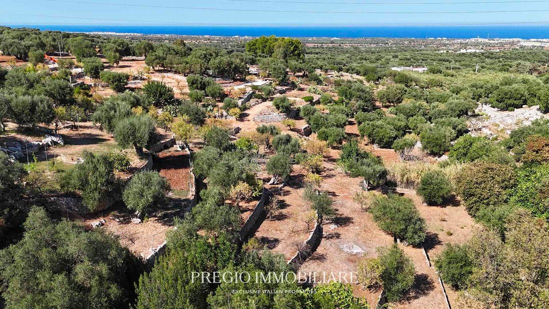 Villa in Gorgofreddo, Monopoli, Apulia 5 - 16724045