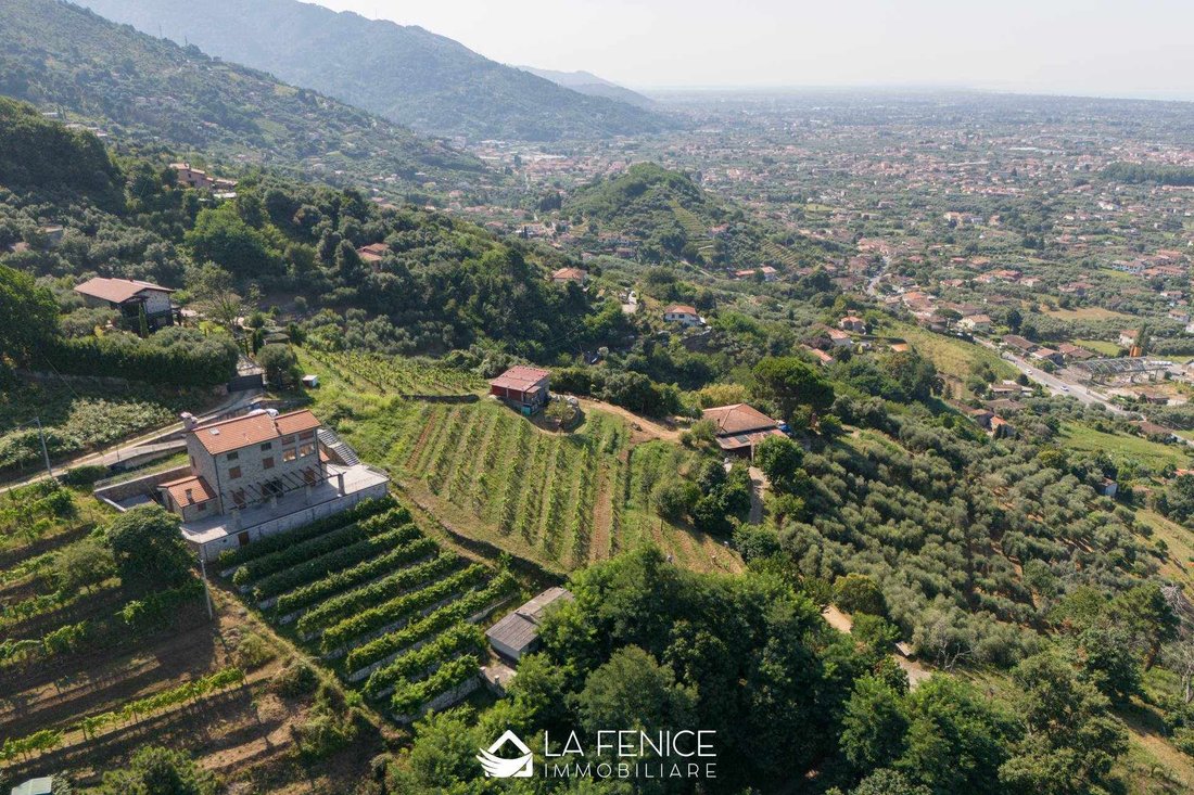 Apartment in Pietrasanta, Tuscany, Italy 1 - 16723866