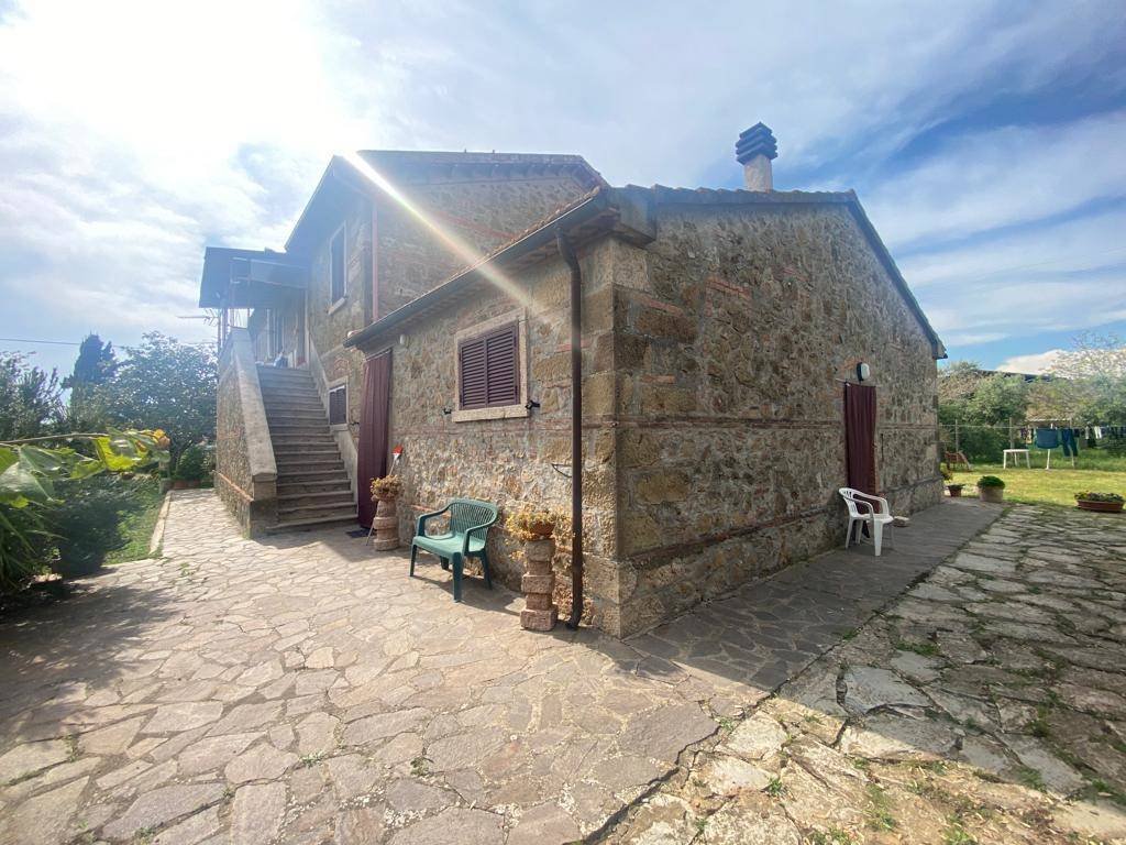 Magliano in Toscana, Tuscany, Italy 5 - 16724892