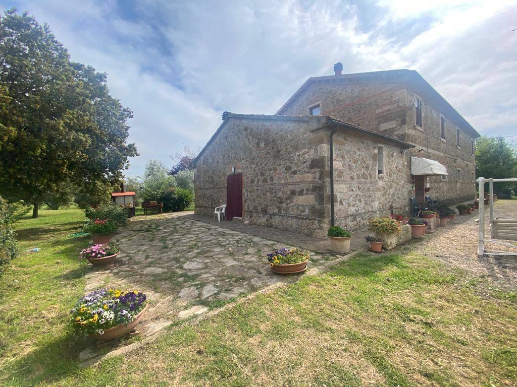 Magliano in Toscana, Tuscany, Italy 1 - 16724892