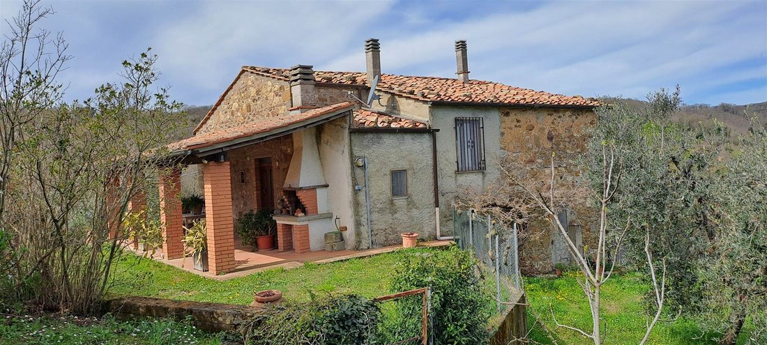 Andere in Scansano, Toskana, Italien 2 - 16724571