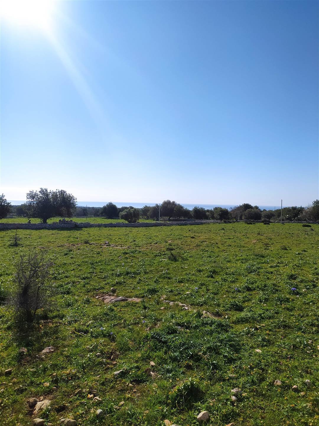 Land in Scicli, Sicily, Italy 4 - 16723630