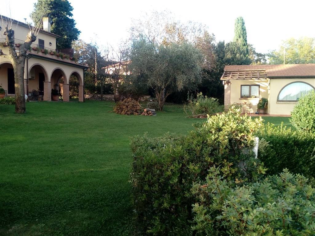 Scansano, Tuscany, Italy 2 - 16722454