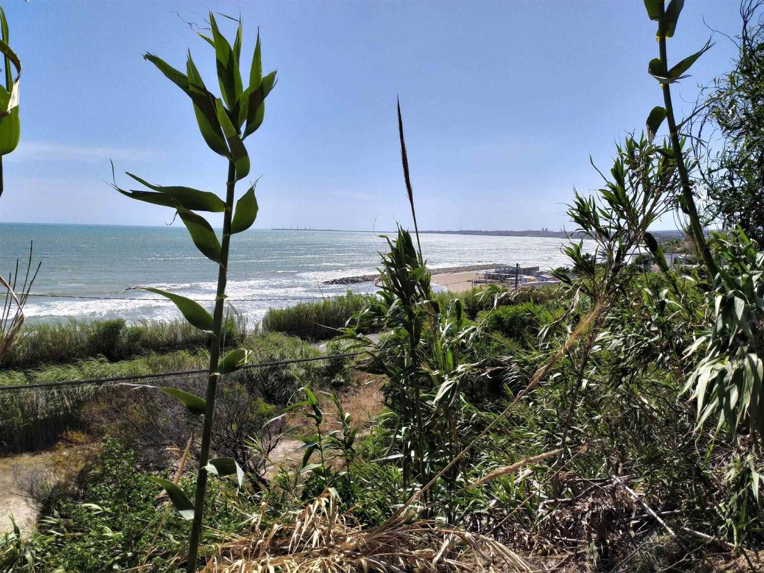 Land in Pozzallo, Sicily, Italy 2 - 16723650