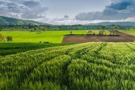 Land in Saint Thomas - Colognola, Bergamo, Lombardy 1 - 16722735