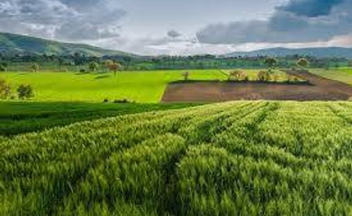 Land in Saint Thomas - Colognola, Bergamo, Lombardy 1