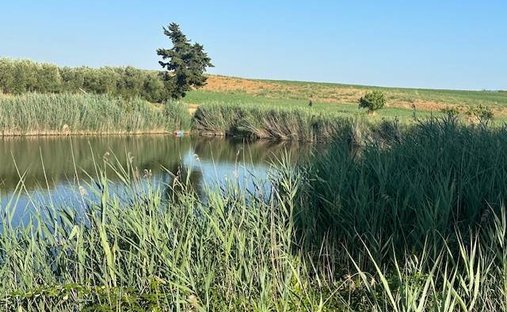 Terrain à San Donato - Polverosa, Orbetello, Toscane 1