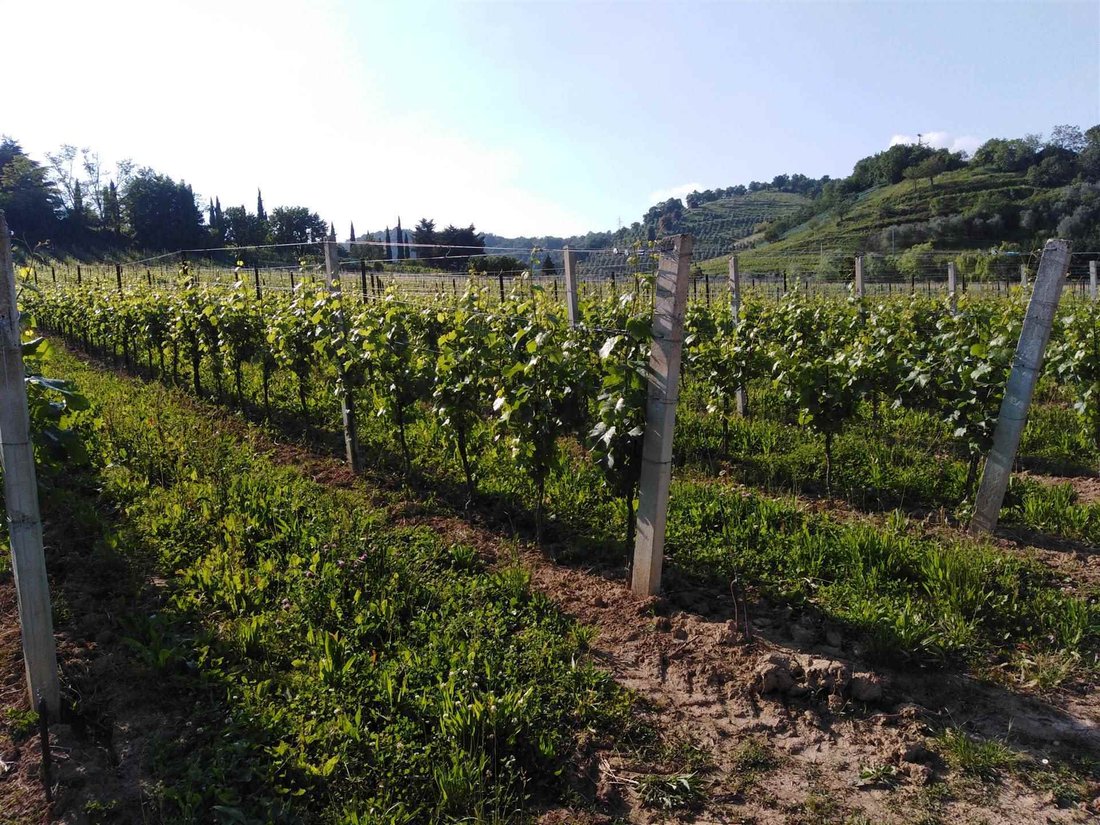 Land in Scanzorosciate, Lombardy, Italy 1 - 16722827