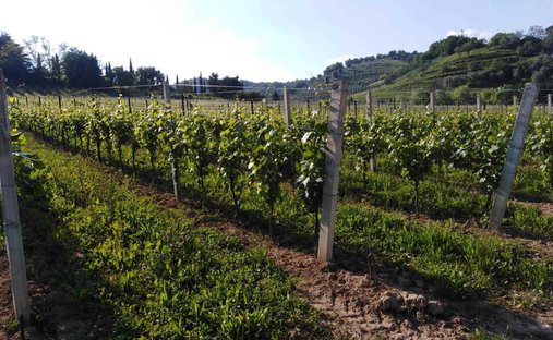 Land in Scanzorosciate, Lombardy, Italy 1