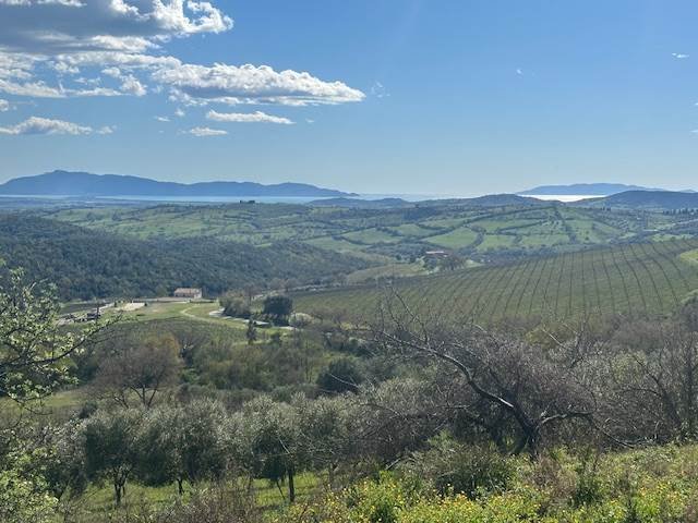 Country House in Magliano in Toscana, Tuscany, Italy 1 - 16723792