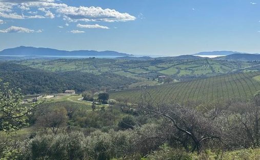Magliano in Toscana, Tuscany, Italy 1