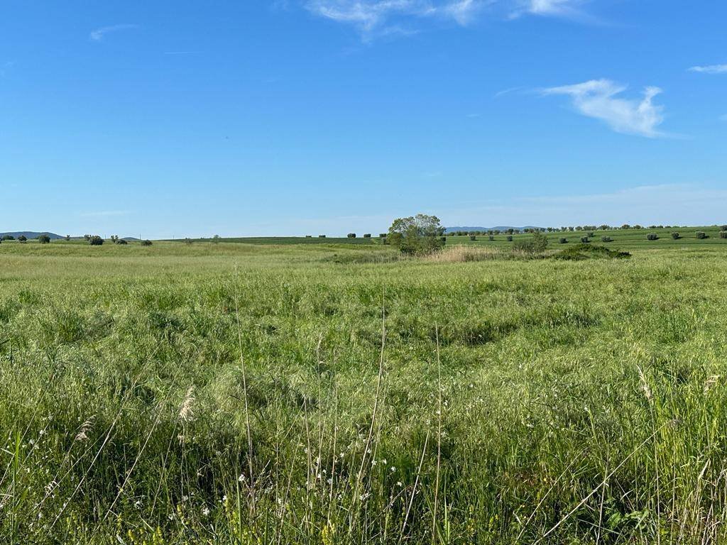 Land in San Donato Vecchio, Orbetello, Tuscany 4 - 16724664