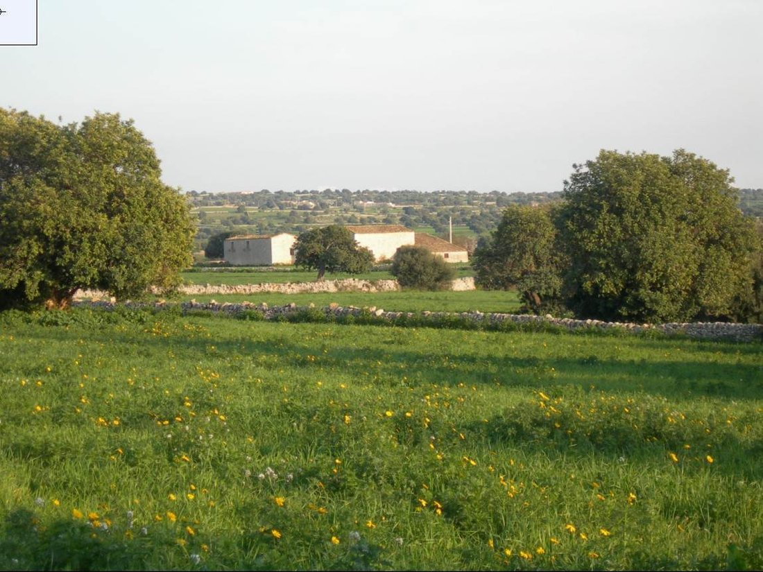 Farm Ranch in Puntarazzi - Donnafugata, Ragusa, Sicily 5 - 16723528