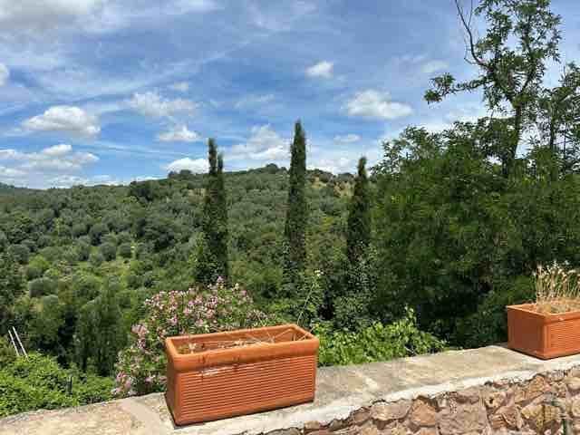 Country House in Magliano in Toscana, Tuscany, Italy 4 - 16724336