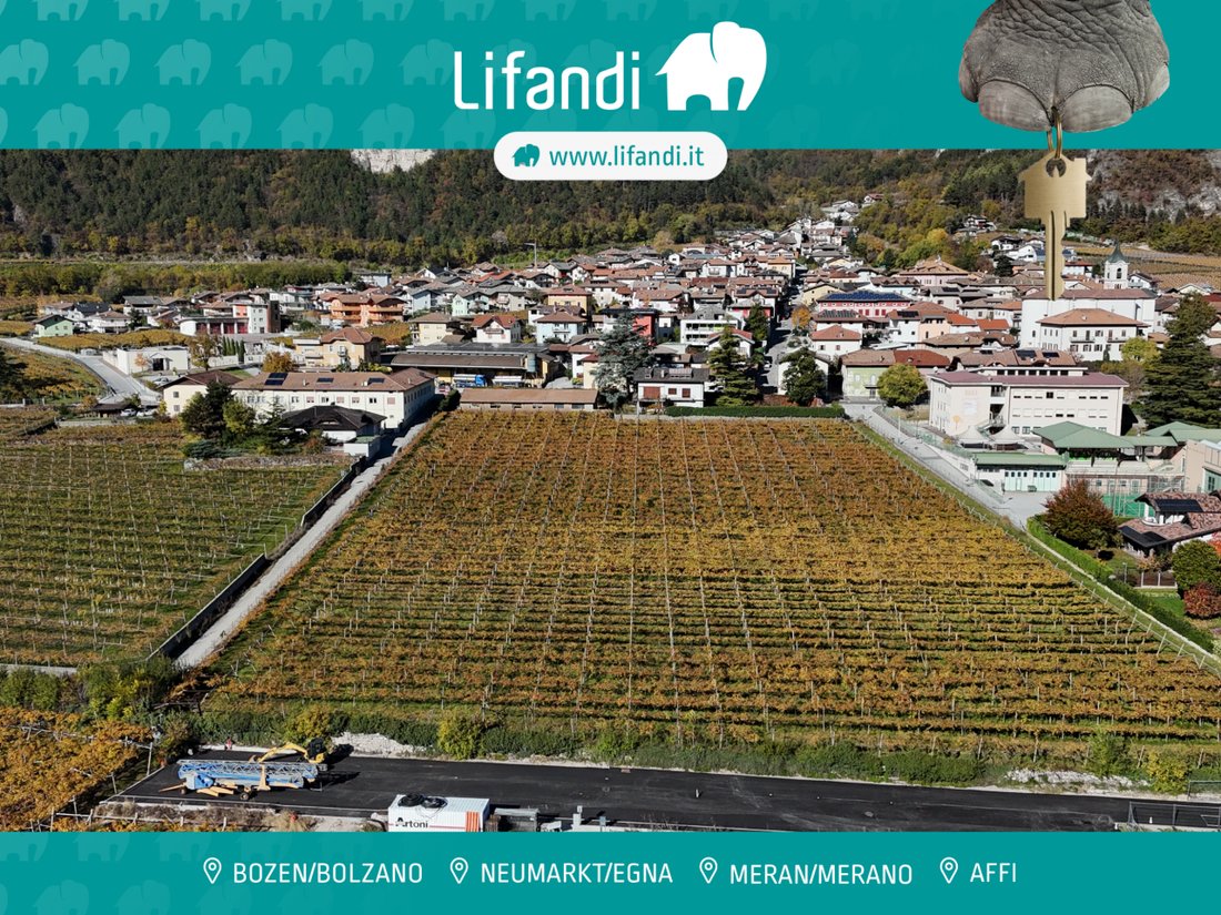 Land in Rovere della Luna, Trentino – Alto Adige/Südtirol, Italy 1 - 16726770