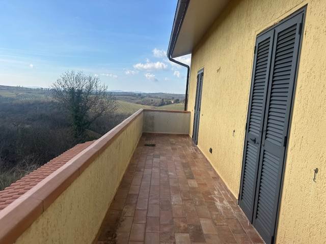 Magliano in Toscana, Tuscany, Italy 2 - 16723780