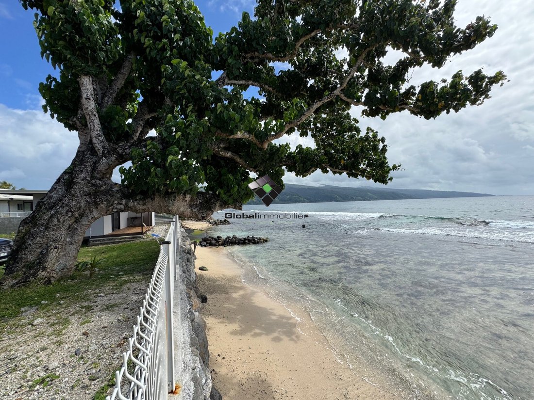 Land in Afaahiti, Windward Islands, French Polynesia 2 - 15678469