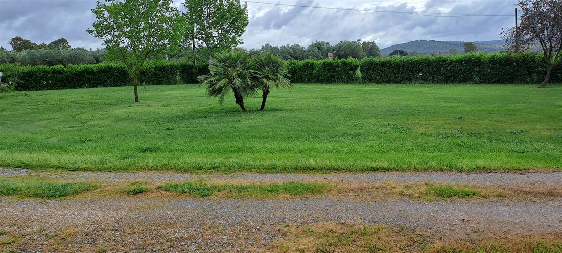 Grosseto, Tuscany, Italy 2 - 16724341