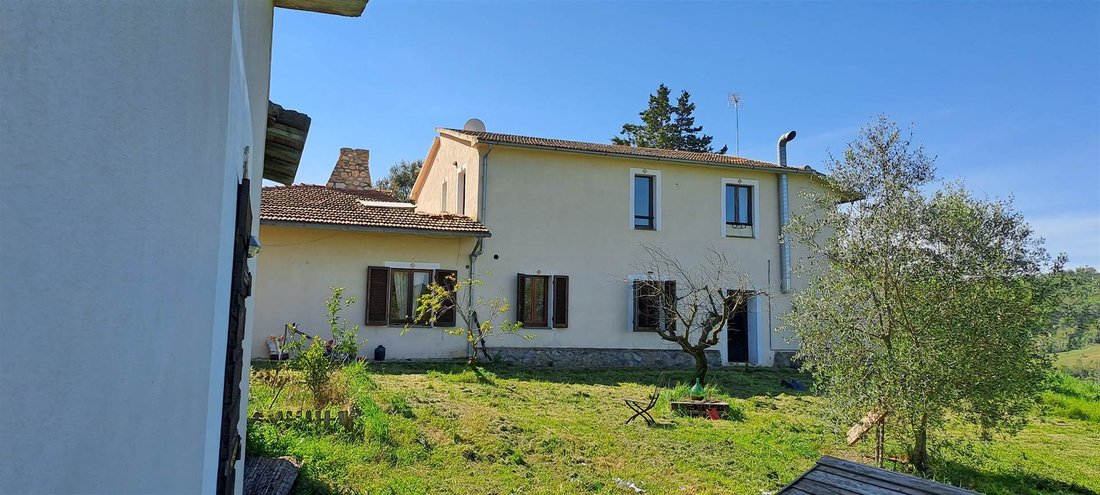 Farm Ranch in Scansano, Tuscany, Italy 4 - 16724523