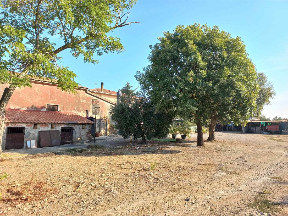Andere in San Donato - Polverosa, Orbetello, Toskana 5 - 16724932