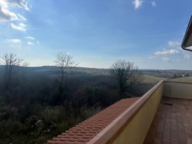 Magliano in Toscana, Tuscany, Italy 5 - 16723780