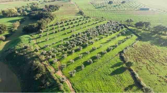 Apartment in Roccastrada, Tuscany, Italy 2 - 16723699
