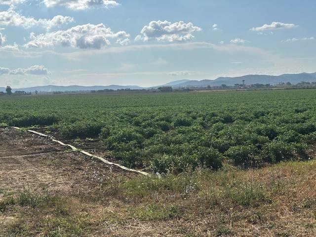 Land in San Donato Vecchio, Orbetello, Tuscany 1 - 16723688