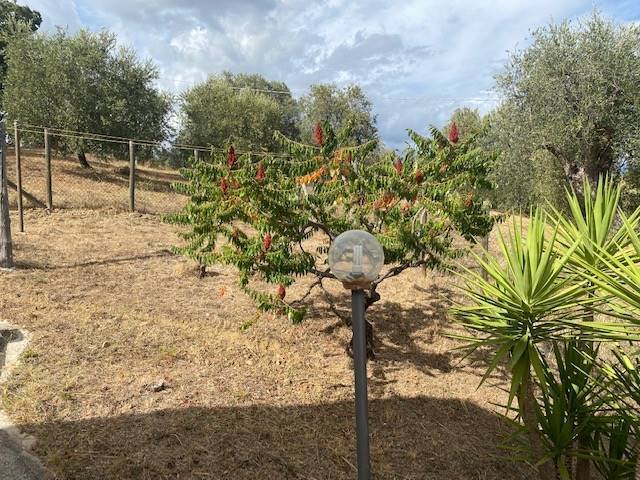 Apartment in Magliano in Toscana, Tuscany, Italy 3 - 16724931