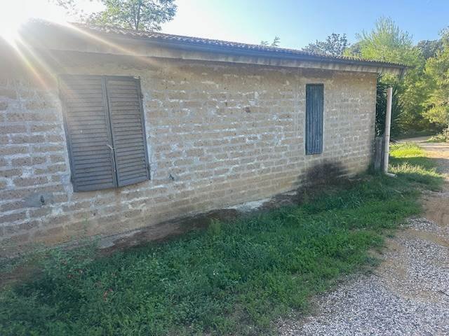 Country House in Magliano in Toscana, Tuscany, Italy 2 - 16723377