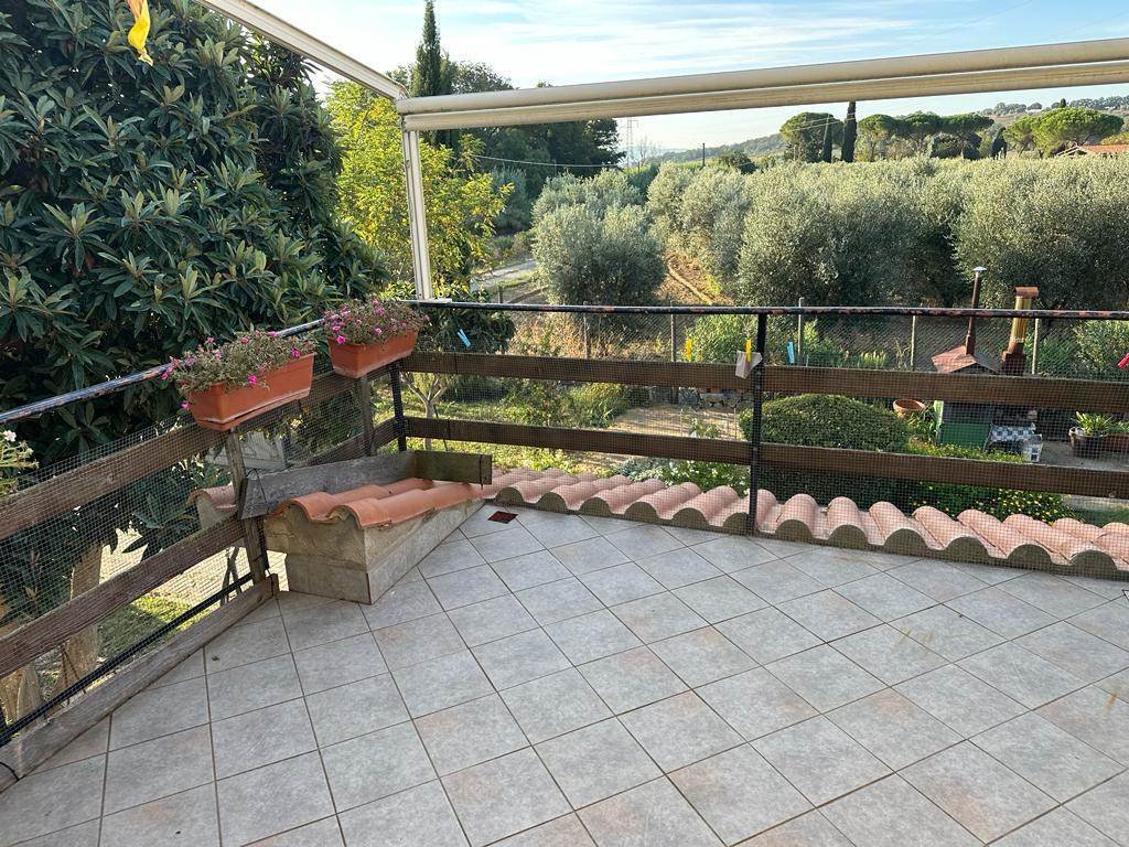 Country House in Magliano in Toscana, Tuscany, Italy 5 - 16724631