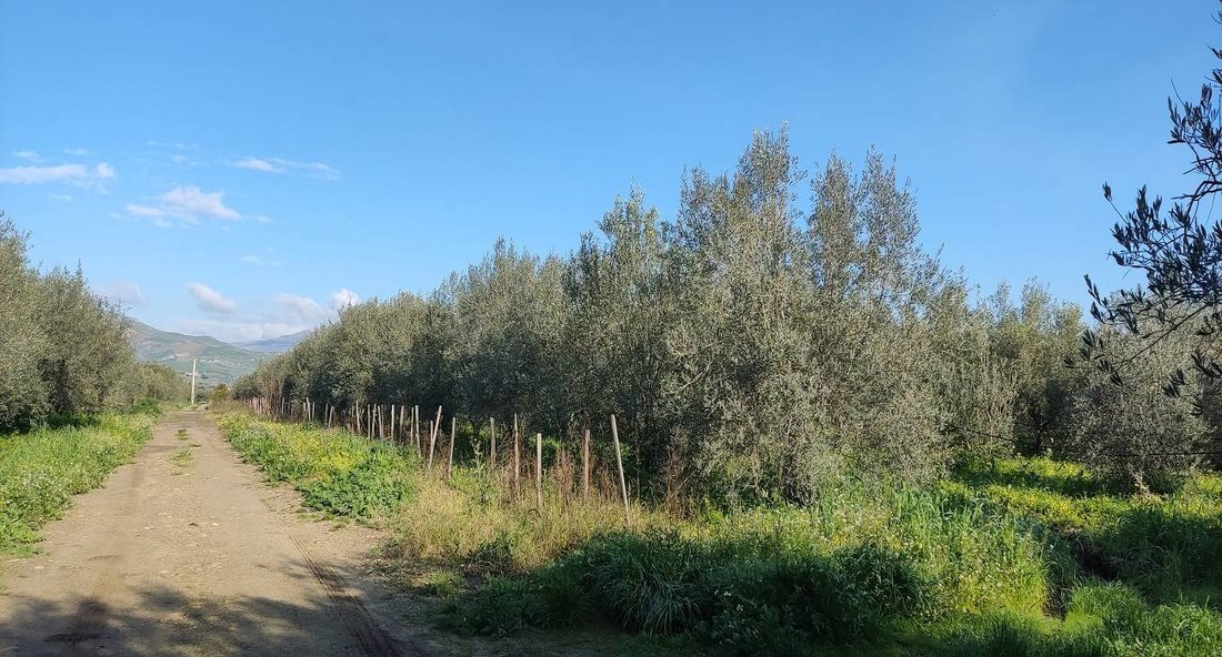 Land in Centuripe, Sicily, Italy 3 - 16722556