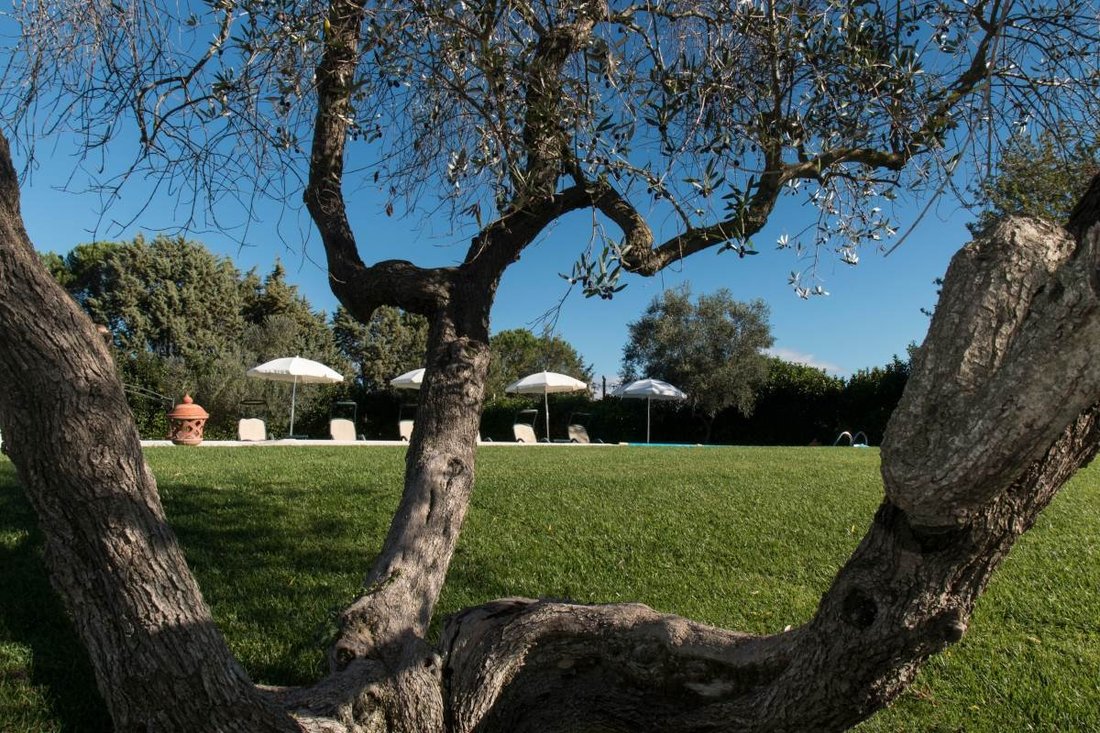 Magliano in Toscana, Tuscany, Italy 4 - 16724636