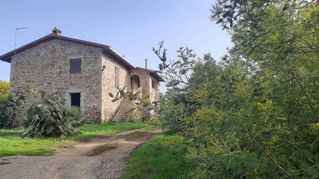 Farm Ranch in Capalbio, Tuscany, Italy 5 - 16724842