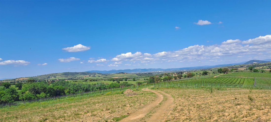 Land in Grosseto, Tuscany, Italy 1 - 16724466