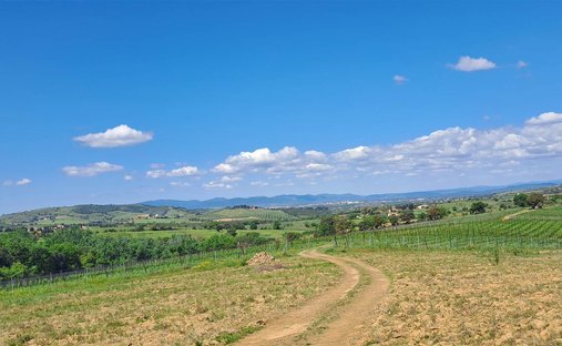 Land in Grosseto, Tuscany, Italy 1