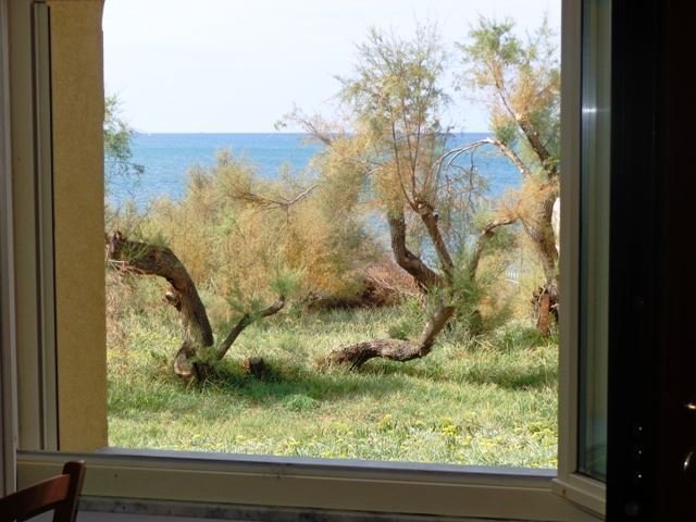 Apartment in Antignano, Livorno, Tuscany 1 - 16722029