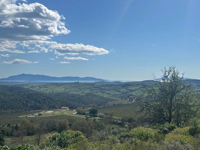Country House in Magliano in Toscana, Tuscany, Italy 2 - 16723792