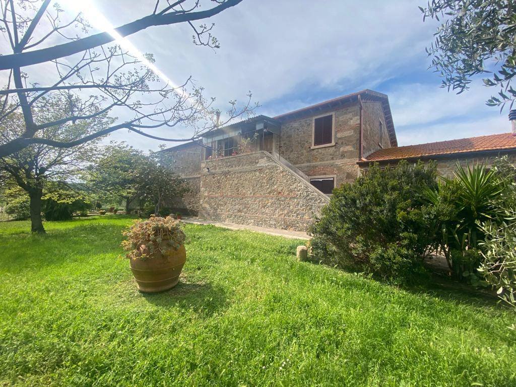 Magliano in Toscana, Tuscany, Italy 4 - 16724892