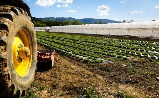 Terreno a San Tomaso - Colognola, Bergamo, Lombardia 1