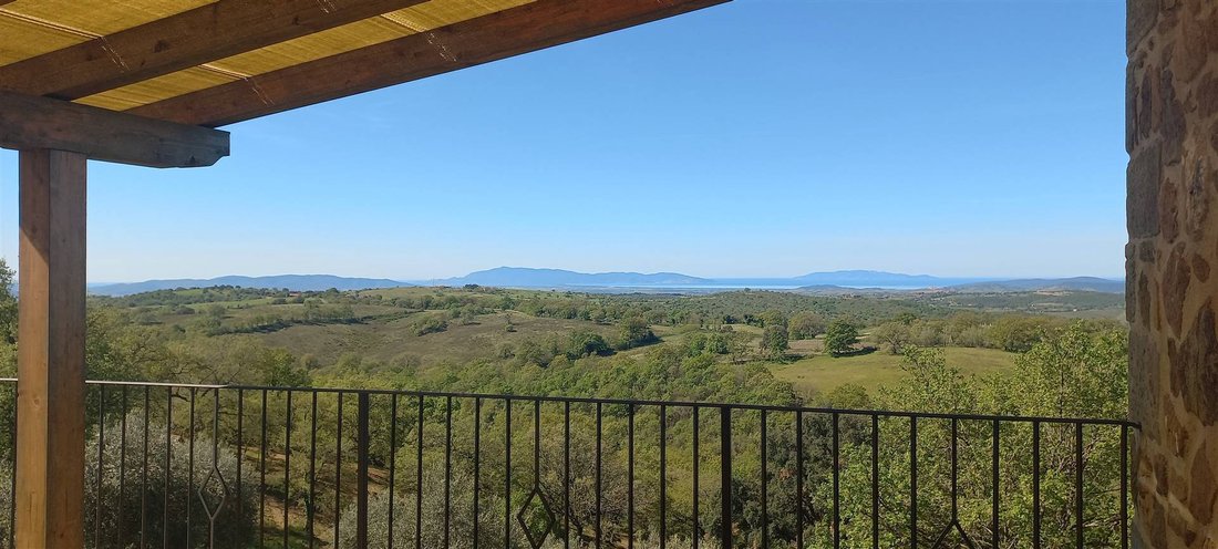 Magliano in Toscana, Tuscany, Italy 4 - 16724731