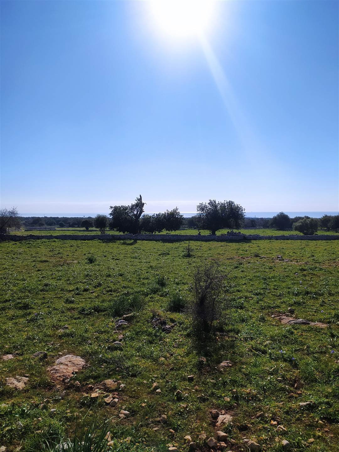 Land in Scicli, Sicily, Italy 3 - 16723630